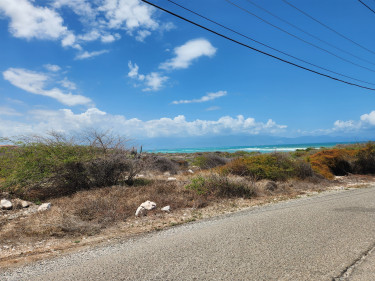 OCEAN FRONT LOT