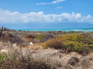 OCEAN FRONT LOT