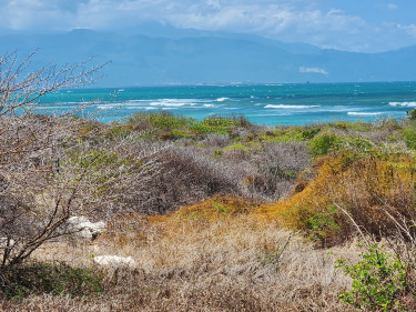 OCEAN FRONT LOT