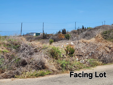 OCEAN FRONT LOT