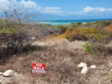 OCEAN FRONT LOT Land HELLSHIRE