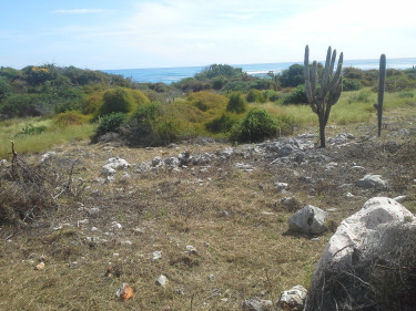 OCEAN FRONT LOT