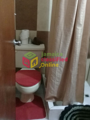 1 Bdrm Apt & Parking