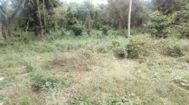 3/4 ACRE OF COMMERCIAL LAND OFF THE MAIN RD.