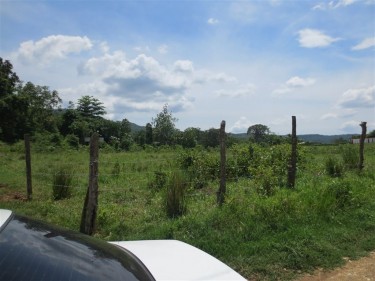 115 Acres Of Land