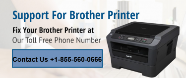 Common Brother Printer Errors And Their Fixtures 