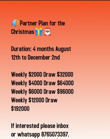 Partner Plan For Christmas 