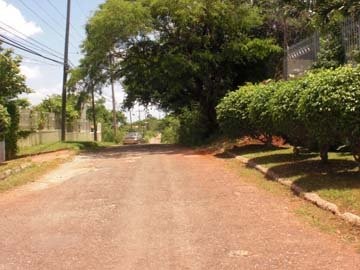 Just Under Half Acre Lot In Plantation Heights.