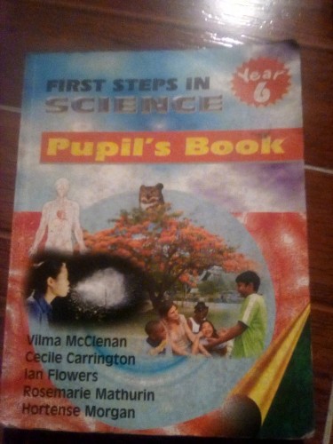 Used Grade 6 Book: First Steps In Science