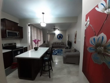 1 Bedroom Apartment Fully Furnished