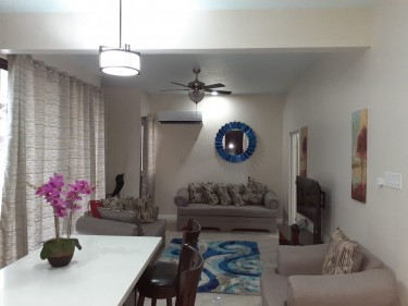 1 Bedroom Apartment Fully Furnished