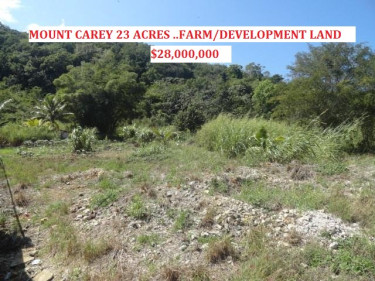 MOUNT CAREY..23 Acre Farm Land / Development Land 