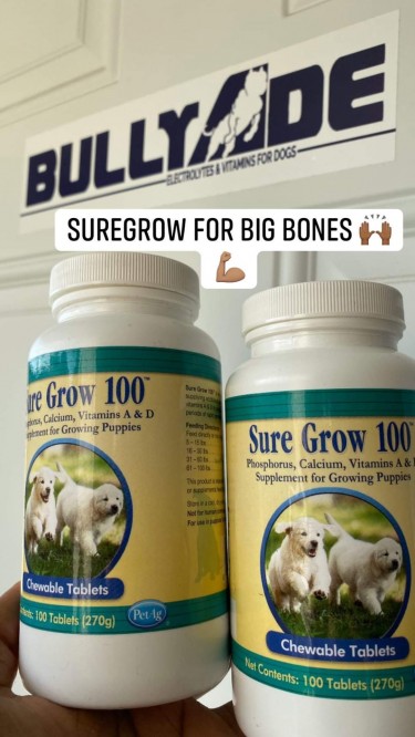 Suregrow Puppy And Dog Supplement For Sale