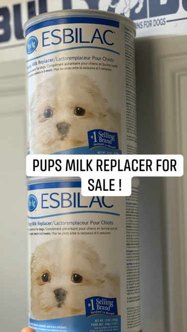 Esbilac Milk Replacer For Puppies For Sale