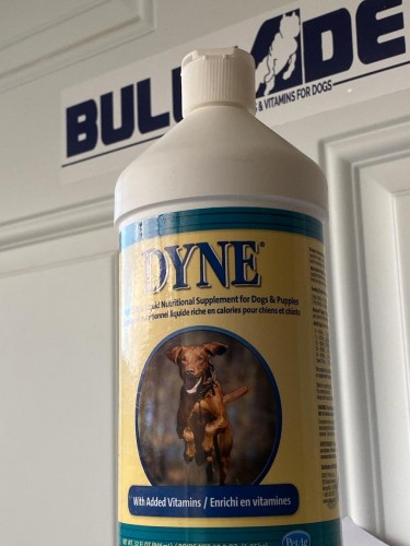 Dyne Dog Supplement For Sale