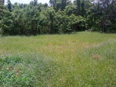 1.25 ACRE OF LAND FOR SALE 