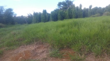 3.5 Acres Of Land