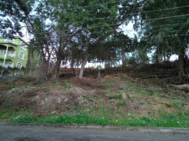 1/2 ACRE LOT IN IRONSHORE