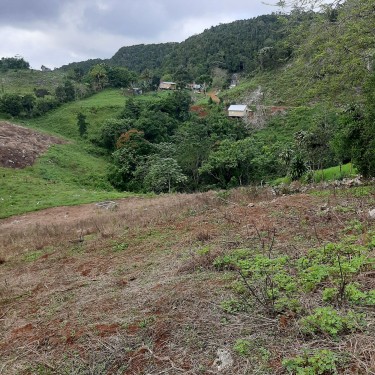 7.7 Acres Land, Lumsden, St. Ann For Ready Buyer