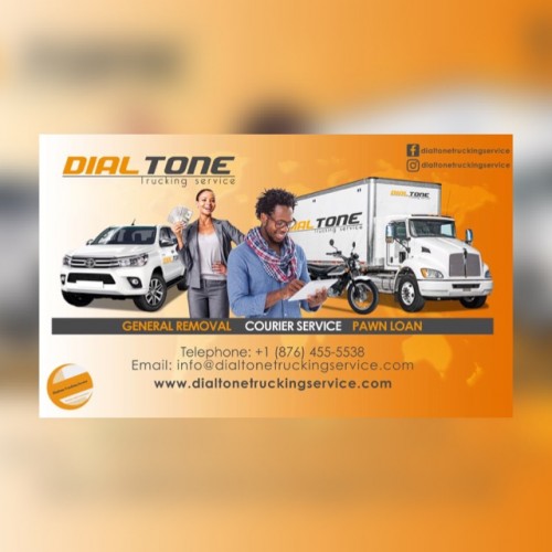 DIALTONE T SERVICE OFFERS COURIER/REMOVAL SERVICE