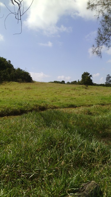 1 Acre Residential Land, Newport, Manchester