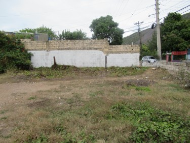 Over 17000 Sq Lot For Sale- 53 Mtn View Ave, Kgn 5