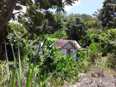 1/2 Acre Of Land With Older Type House 