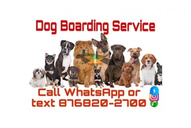 DOG BOARDING SERVICE FOR SMALL AND LARGE BREED DOG