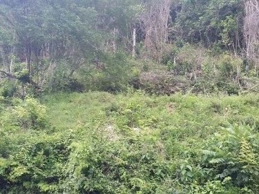 7 ACRES OF LAND FOR SALE