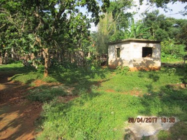 Half Acre Residential Lot