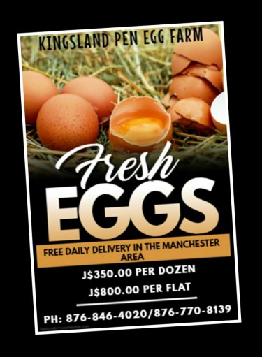 FRESH EGGS FOR SALE. FREE DELIVERY IN MANCHESTER