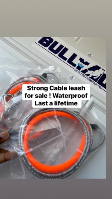 5FT CABLE LEASH FOR SALE