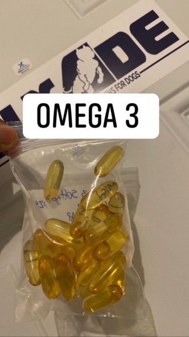 OMEGA 3 FISH OIL SOFTGELS FOR DOGS
