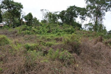 Limited Free Discount On 1 Acre Prime Land, Mandev