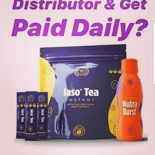 Iaso Tea