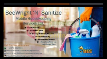 Cleaning Services 