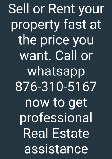 Professional Realtor