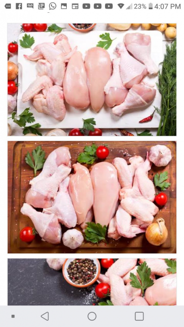 Wholesale Whole Chickens And Mixed Parts 
