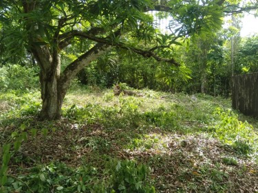 1/3 ACRE OF LAND