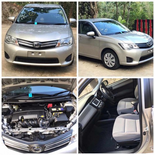 2013 Toyota  Axio Newly Imported For Sale