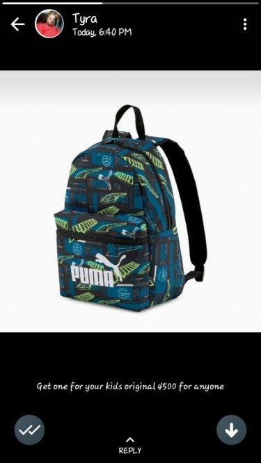 Puma Bags For School 
