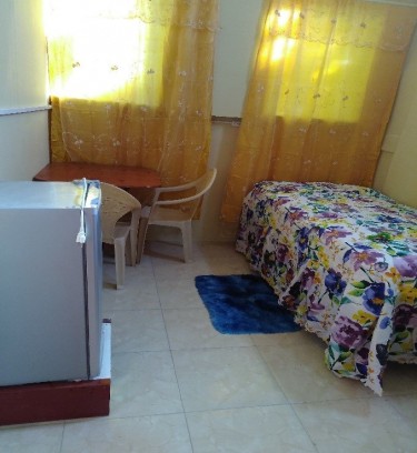 Furnished Room/Bathroom-Student/young Professional