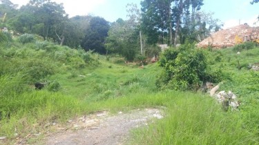 OVER 1/4 ACRE OF LAND IN KINGSLAND 