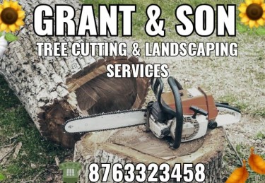 G & S TREE CUTTING SERVICES 