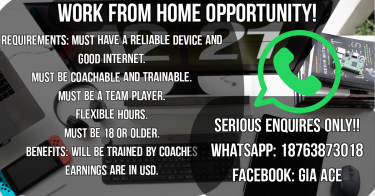 Work From Home Opportunity