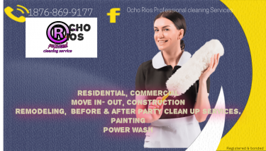 Cleaning And Painting Services 