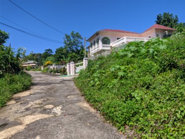 Over 1/4 Acre Lot With View- Battersea, Mandeville