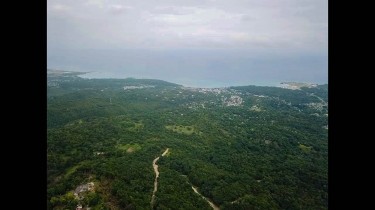 131 Acres Of Development Land In St. Ann