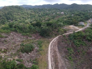 113 Acres Of Approved Subdivision - St. Ann