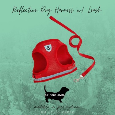 Reflective Dog Harness W/ Leash